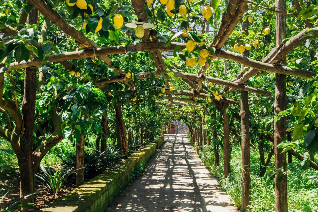 Agroturismo Agriturismo Il Giardino Di Vigliano Massa Lubrense